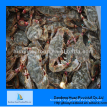 good frozen superior perfect mud crab with fien quality